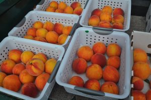 peaches2