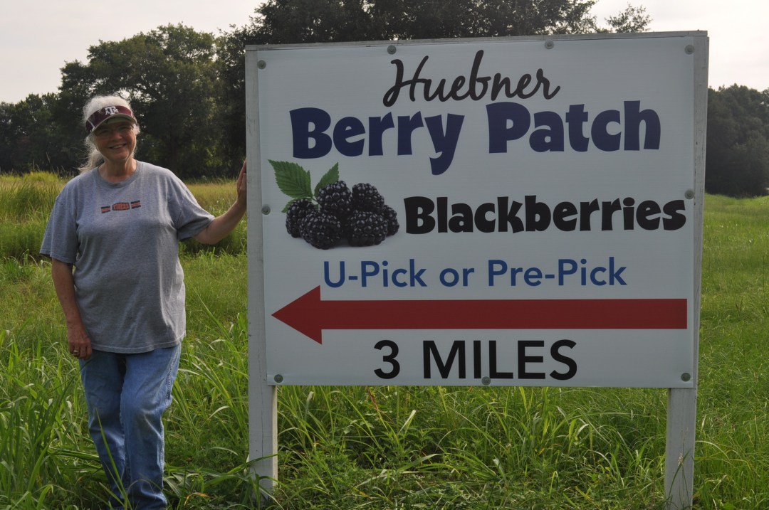 road-sign
